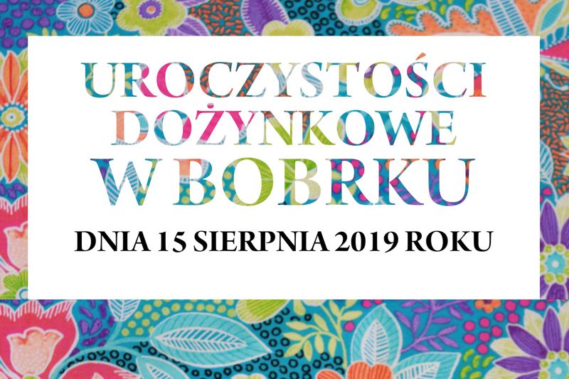 dozynki bobrek modul 08 19