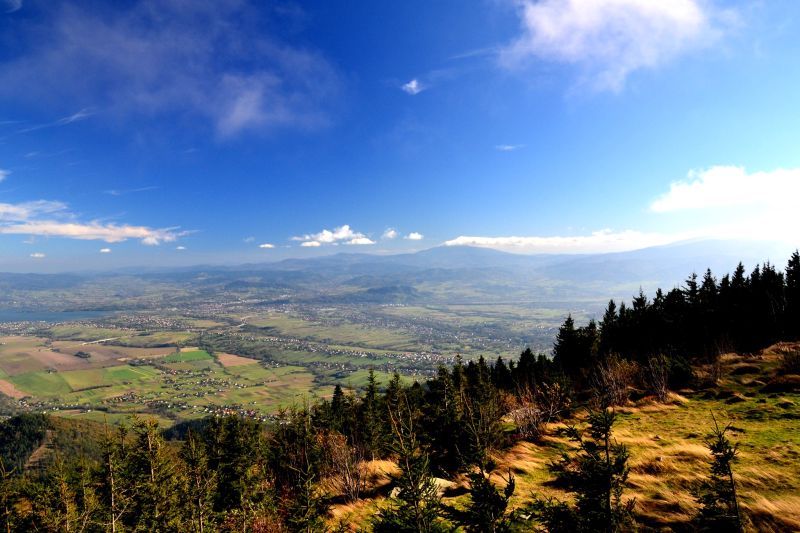 rajd NW meszna 10 19