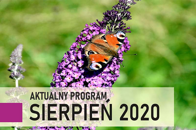 baner sierpien program08 20