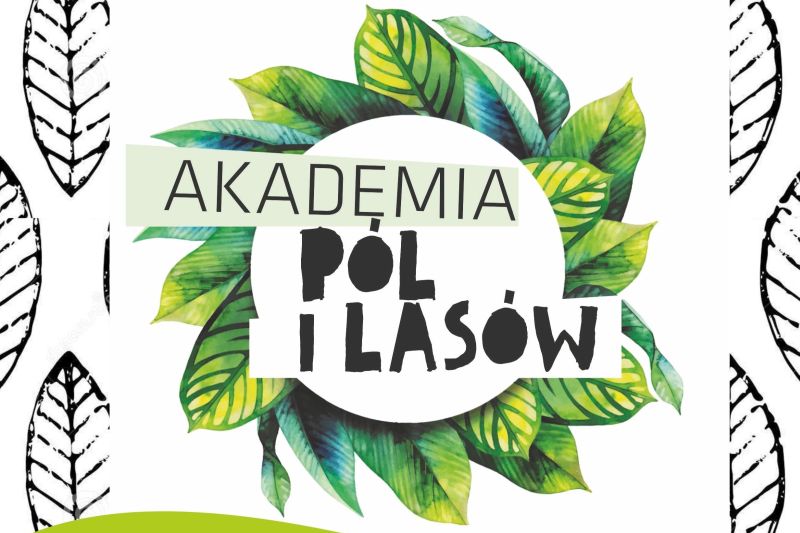 akademia pol modul 04 22