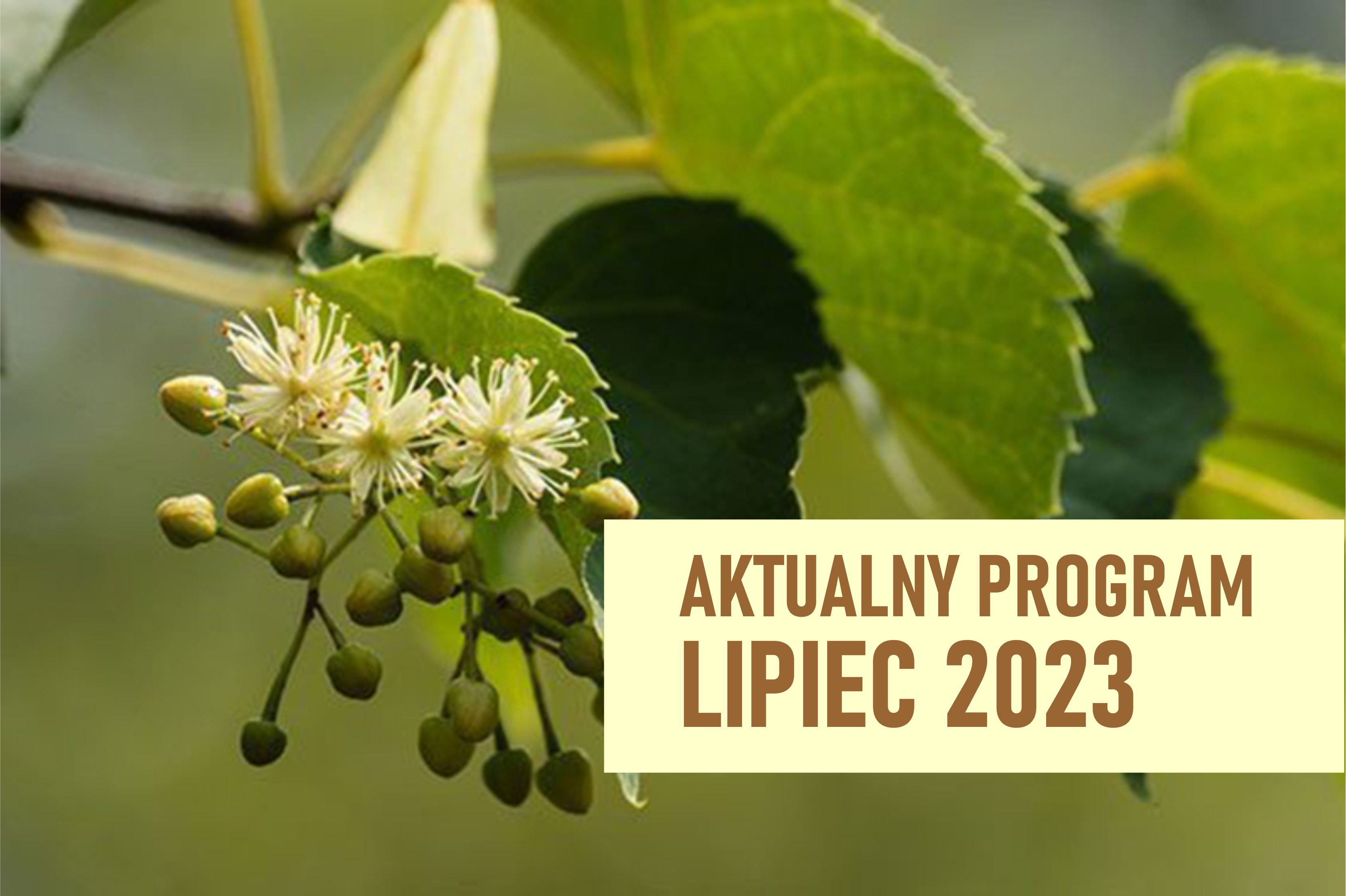 lipiec aktualny program