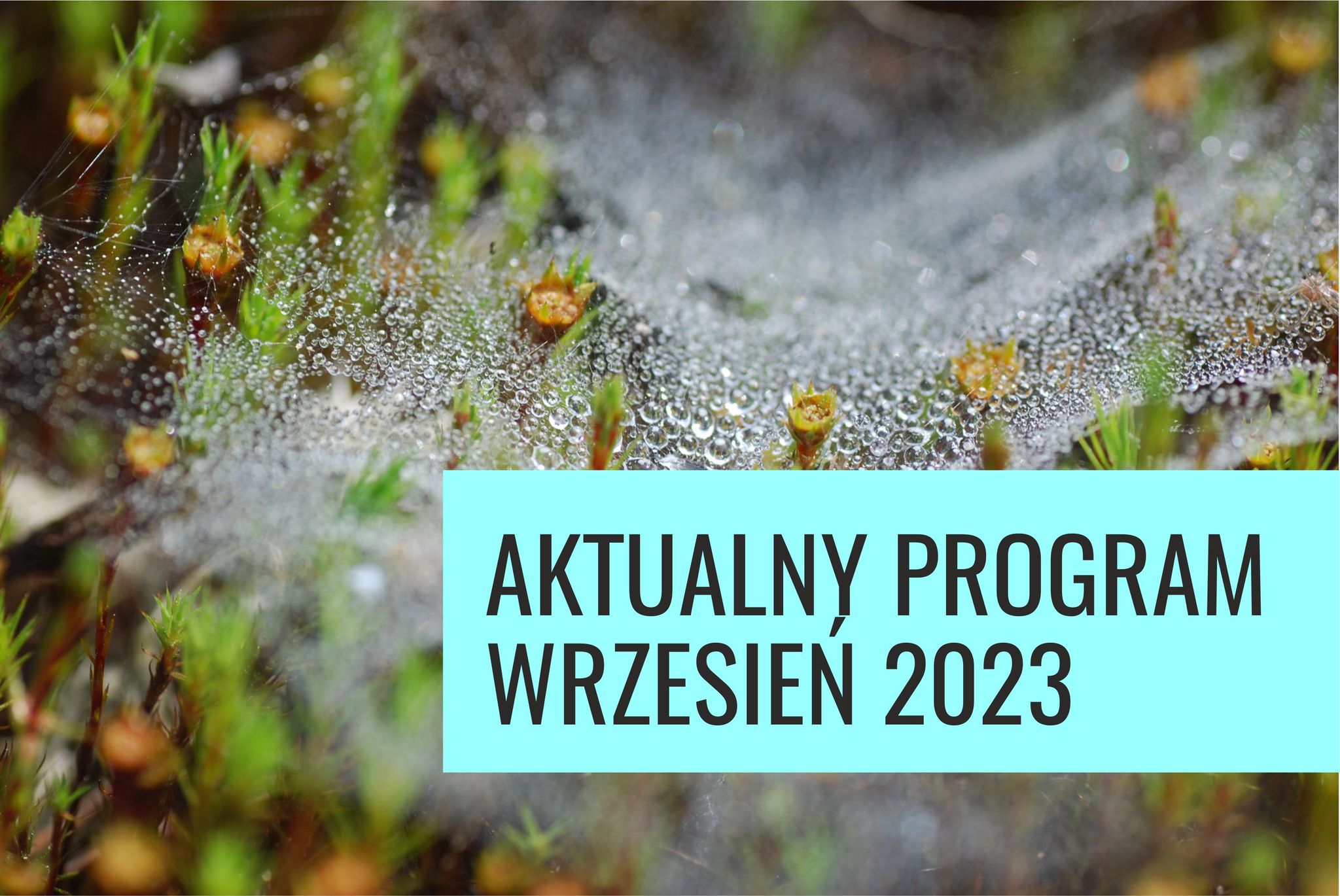 371850419 653631120068948 8541782477315660643 n