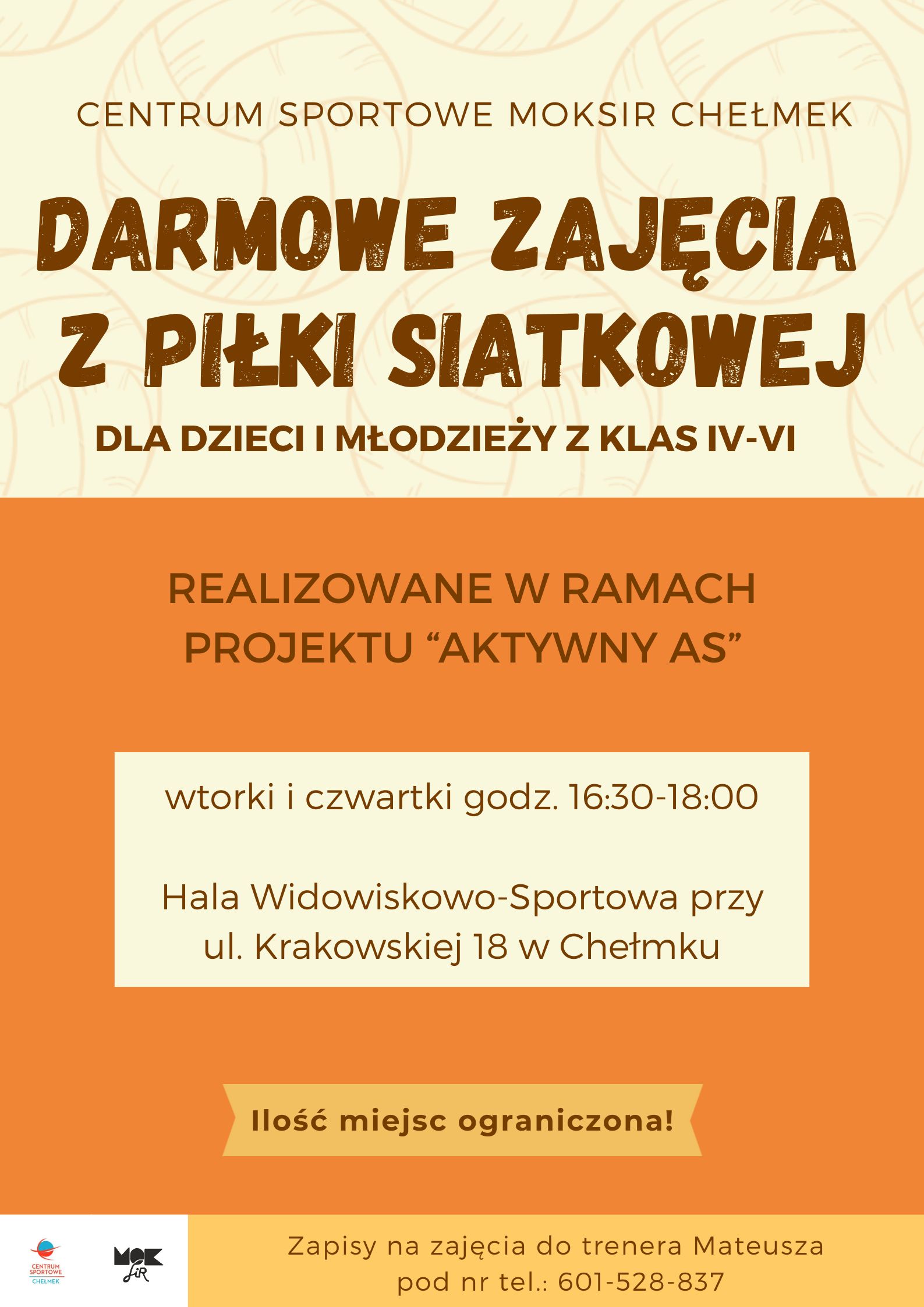 Zajecia z pilki siatkowej